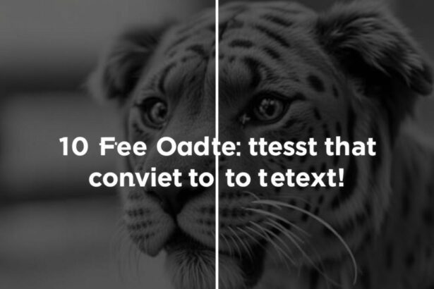 Ten fast ways to turn photos into searchable, editable text